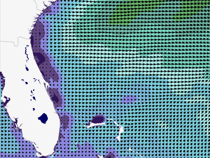 Wave Model Wind Forecast