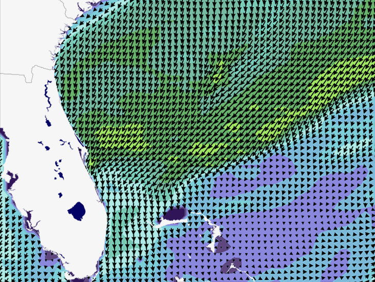 Wave Model Wind Forecast