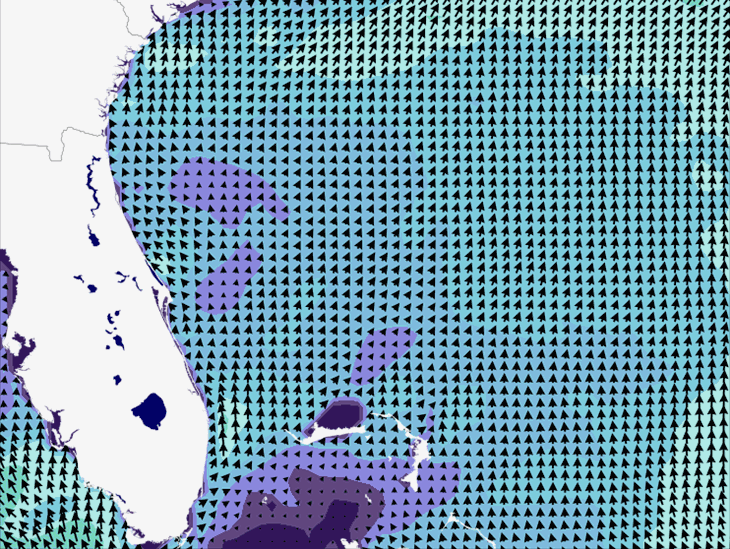 Wave Model Wind Forecast