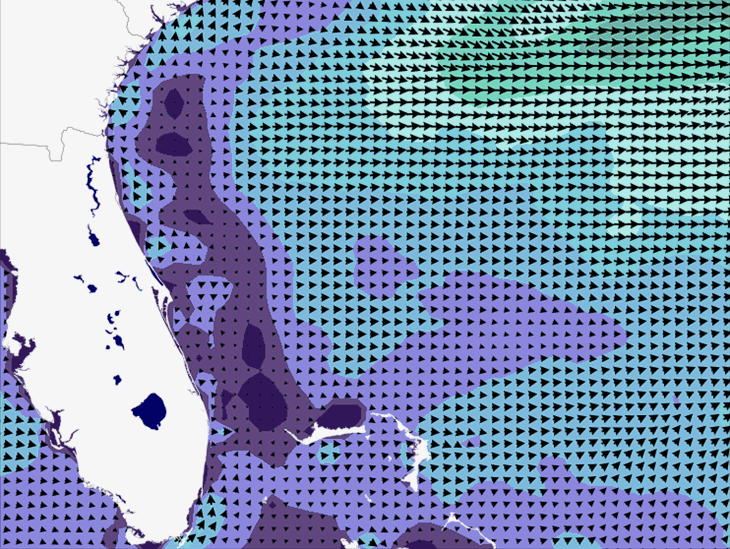 Wave Model Wind Forecast
