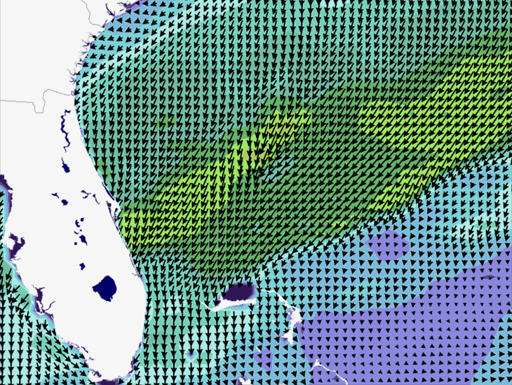 Wave Model Wind Forecast