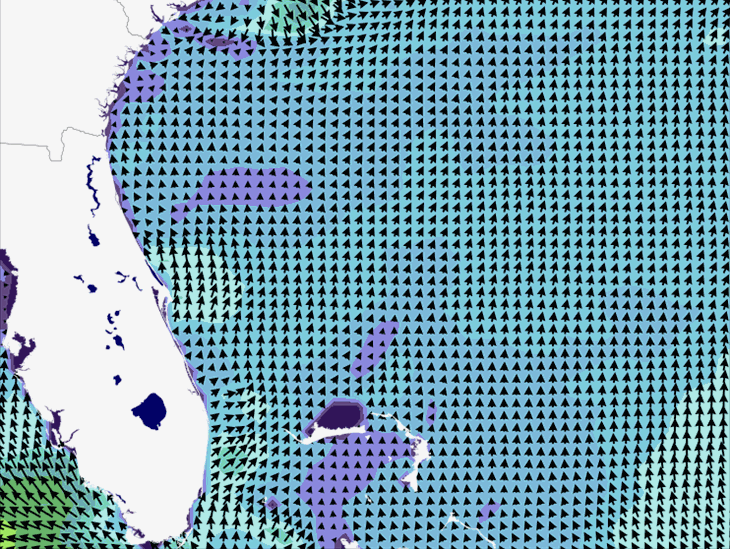 Wave Model Wind Forecast