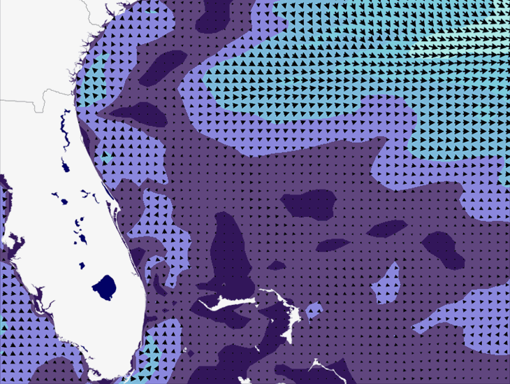 Wave Model Wind Forecast