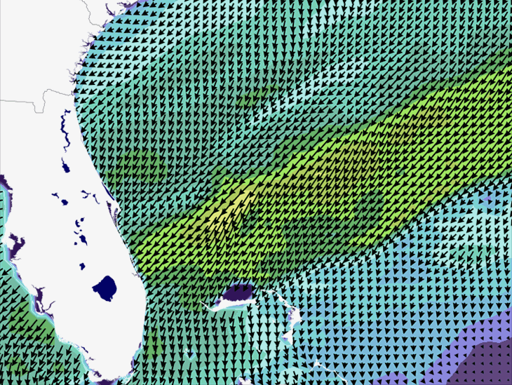Wave Model Wind Forecast