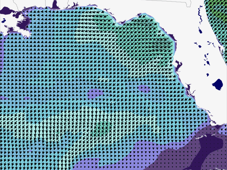 Wave Model Wind Forecast