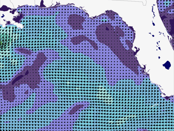 Wave Model Wind Forecast