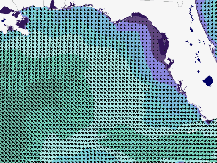 Wave Model Wind Forecast