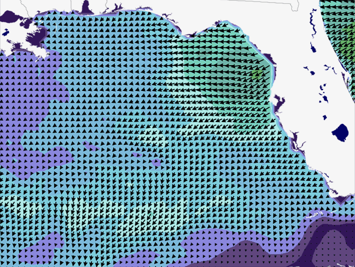 Wave Model Wind Forecast