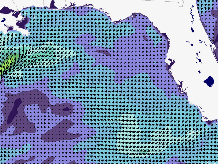 Wave Model Wind Forecast