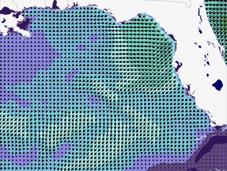 Wave Model Wind Forecast