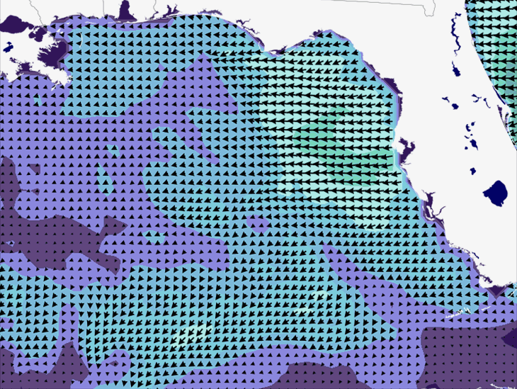 Wave Model Wind Forecast