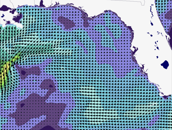 Wave Model Wind Forecast
