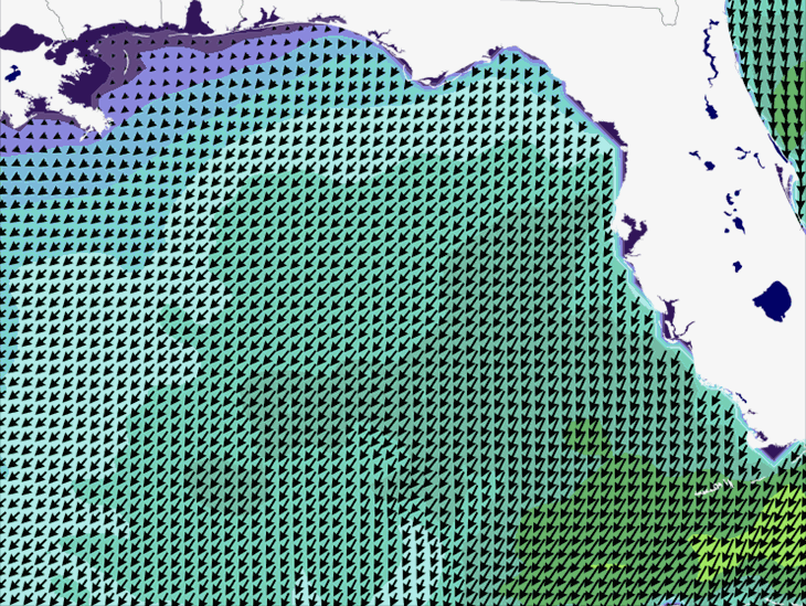 Wave Model Wind Forecast