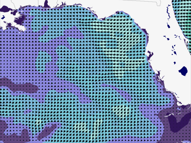 Wave Model Wind Forecast
