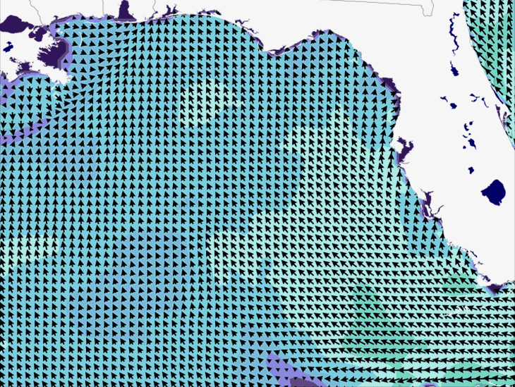 Wave Model Wind Forecast