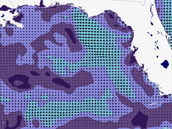 Wave Model Wind Forecast