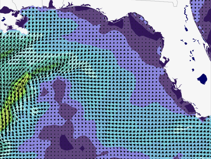 Wave Model Wind Forecast