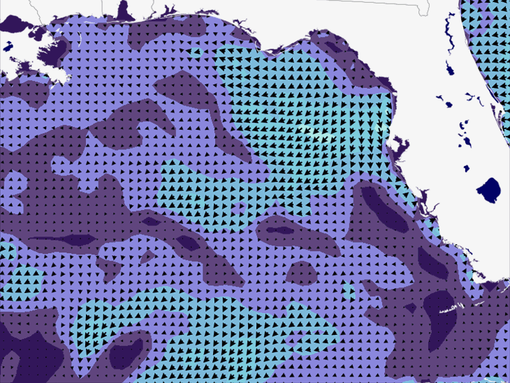 Wave Model Wind Forecast