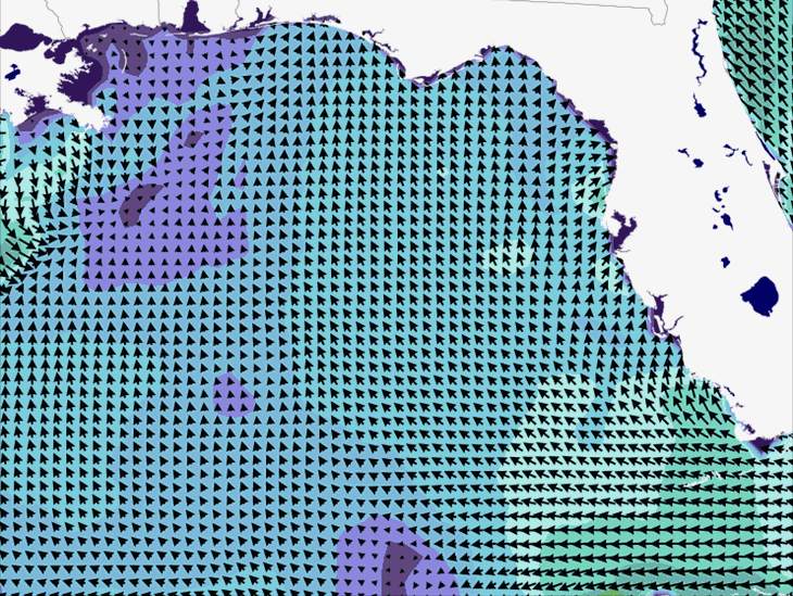 Wave Model Wind Forecast