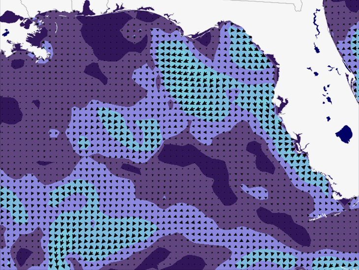 Wave Model Wind Forecast