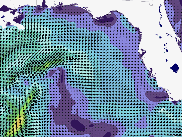 Wave Model Wind Forecast