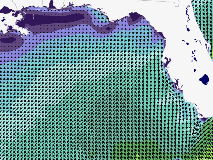 Wave Model Wind Forecast