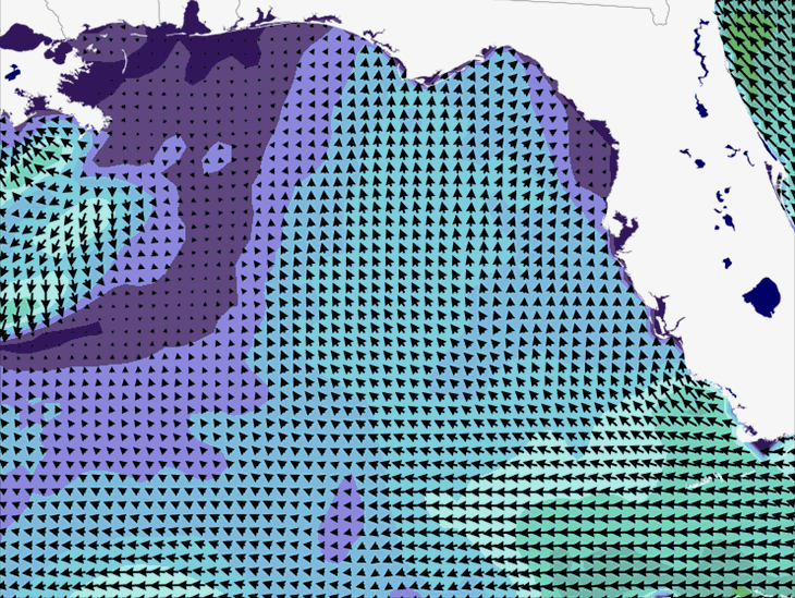 Wave Model Wind Forecast