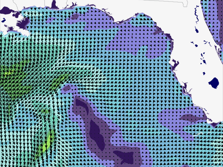 Wave Model Wind Forecast