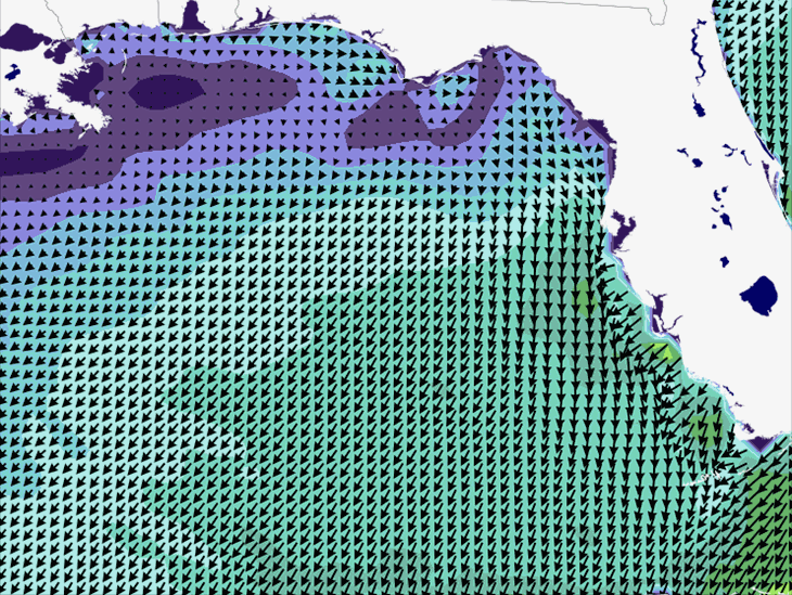 Wave Model Wind Forecast