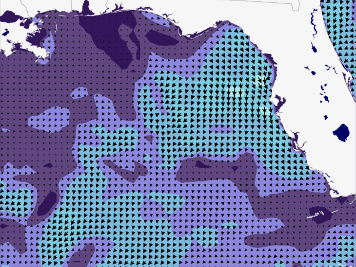 Wave Model Wind Forecast