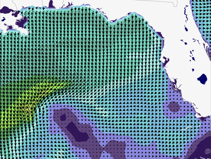 Wave Model Wind Forecast