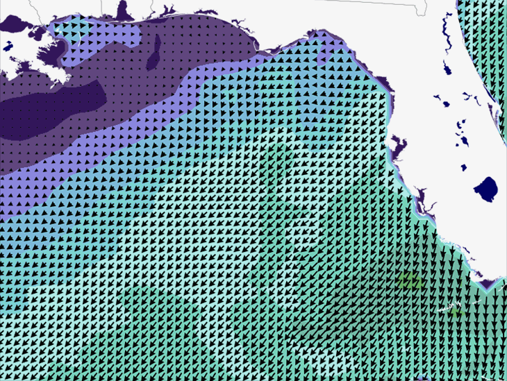 Wave Model Wind Forecast