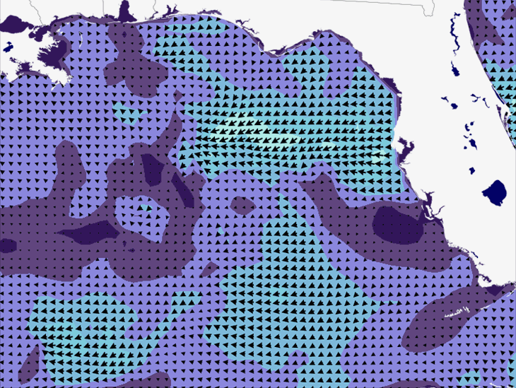 Wave Model Wind Forecast