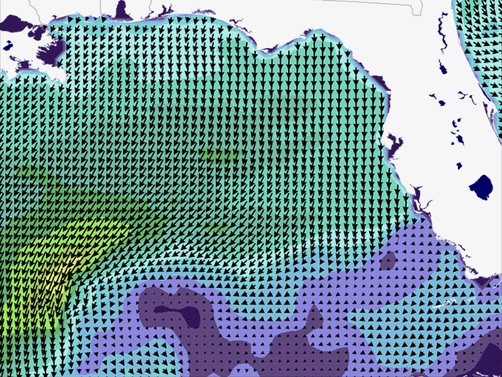 Wave Model Wind Forecast
