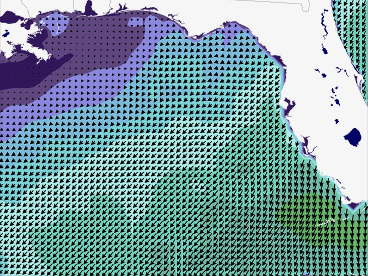 Wave Model Wind Forecast