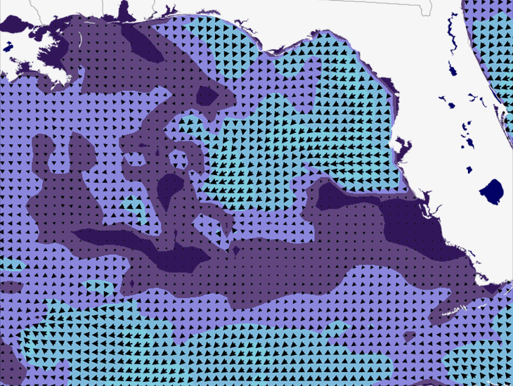 Wave Model Wind Forecast