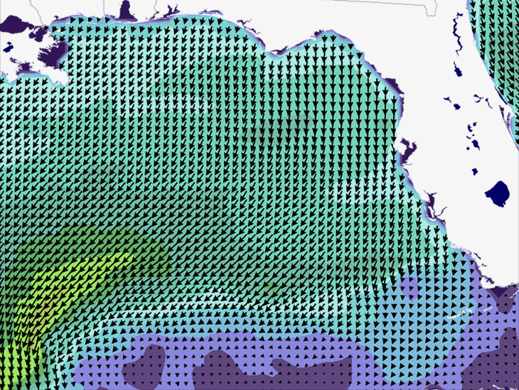 Wave Model Wind Forecast