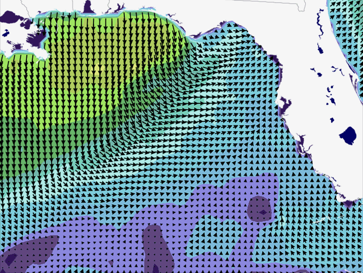 Wave Model Wind Forecast