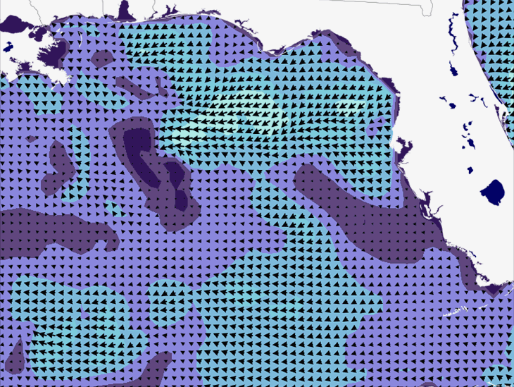 Wave Model Wind Forecast