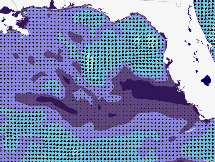 Wave Model Wind Forecast