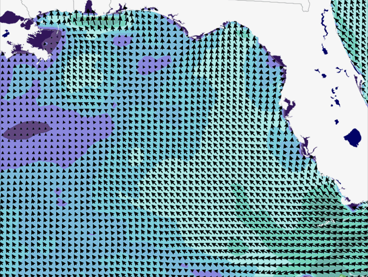 Wave Model Wind Forecast