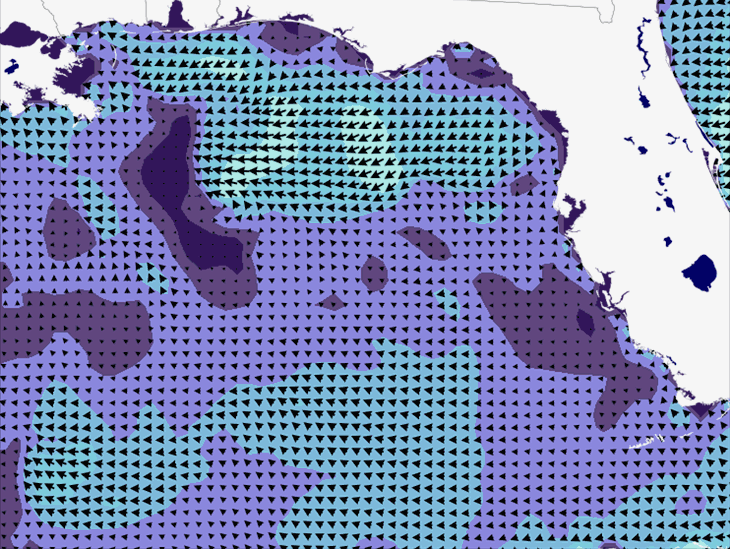 Wave Model Wind Forecast