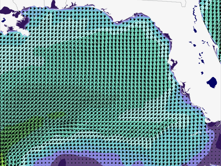 Wave Model Wind Forecast