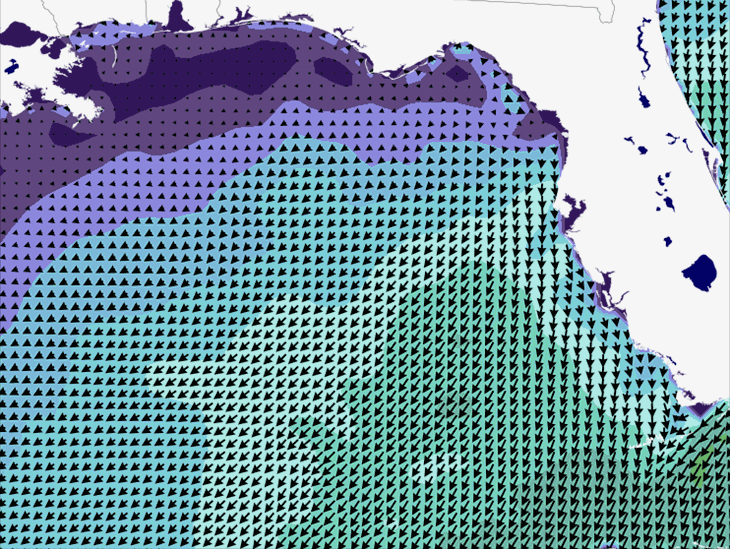 Wave Model Wind Forecast