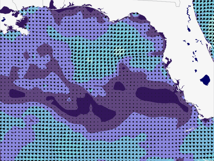 Wave Model Wind Forecast