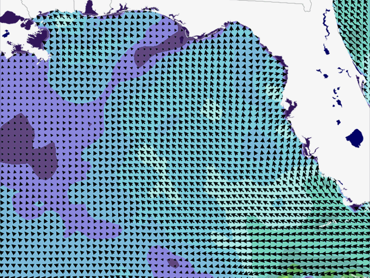Wave Model Wind Forecast