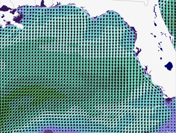 Wave Model Wind Forecast