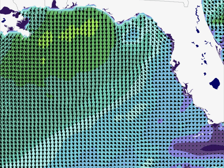 Wave Model Wind Forecast