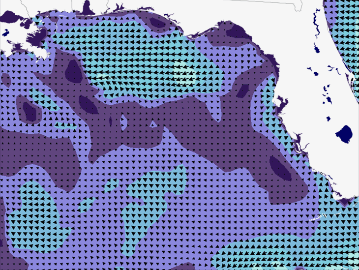 Wave Model Wind Forecast