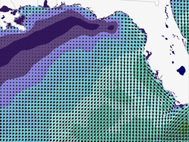 Wave Model Wind Forecast